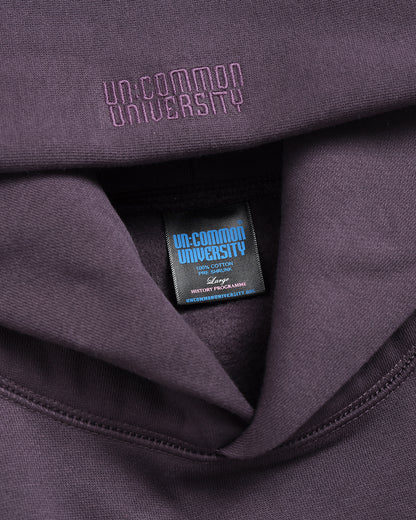 Past-Tell Hoodie (Purple)
