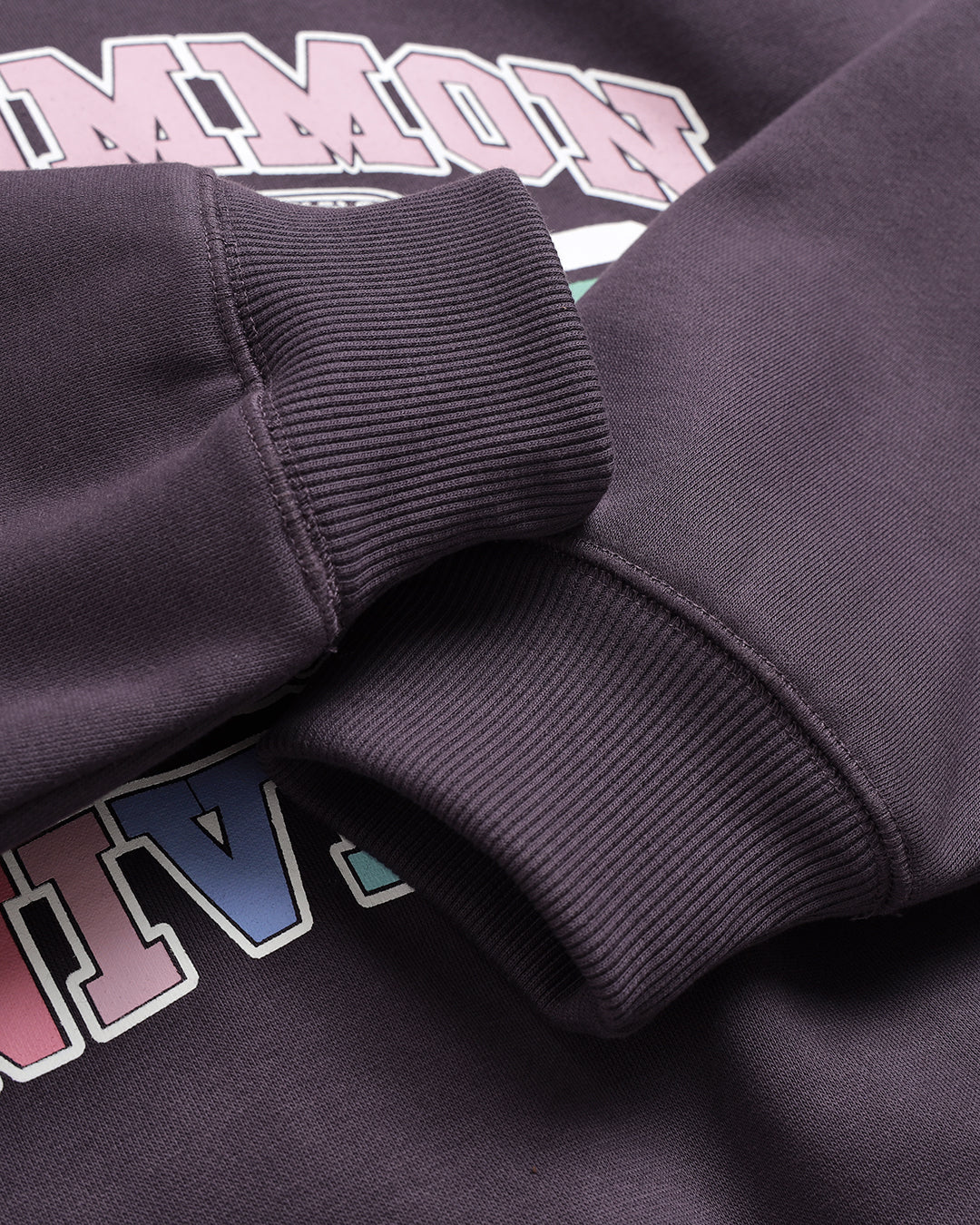 Past-Tell Hoodie (Purple)